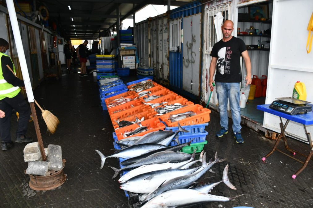  بمناسبة العيد - تخفيضات على الأسماك لدى الريس ابراهيم سوري في ميناء يافا 